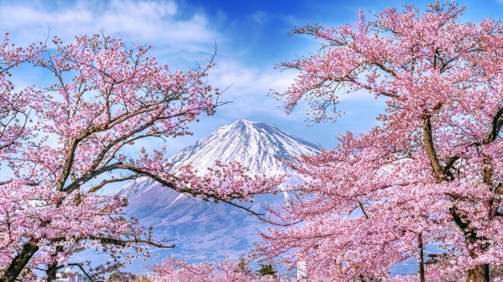 Mt Fuji Japan